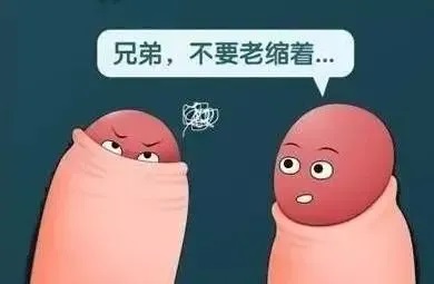 640_wx_fmt=png&from=appmsg&tp=webp&wxfrom=5&wx_lazy=1&wx_co=1 (1)